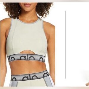 ALO Yoga Gray Sports Bra